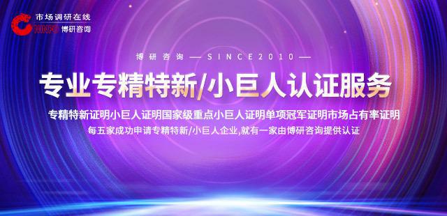 戏机行业市场行情监测及发展趋向研判报告九游会j92024-2030年中国游(图1)